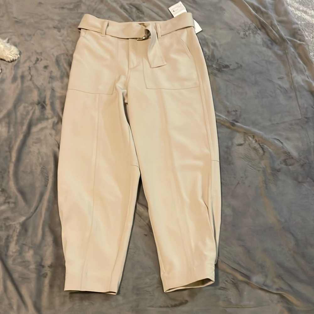 Dress pants